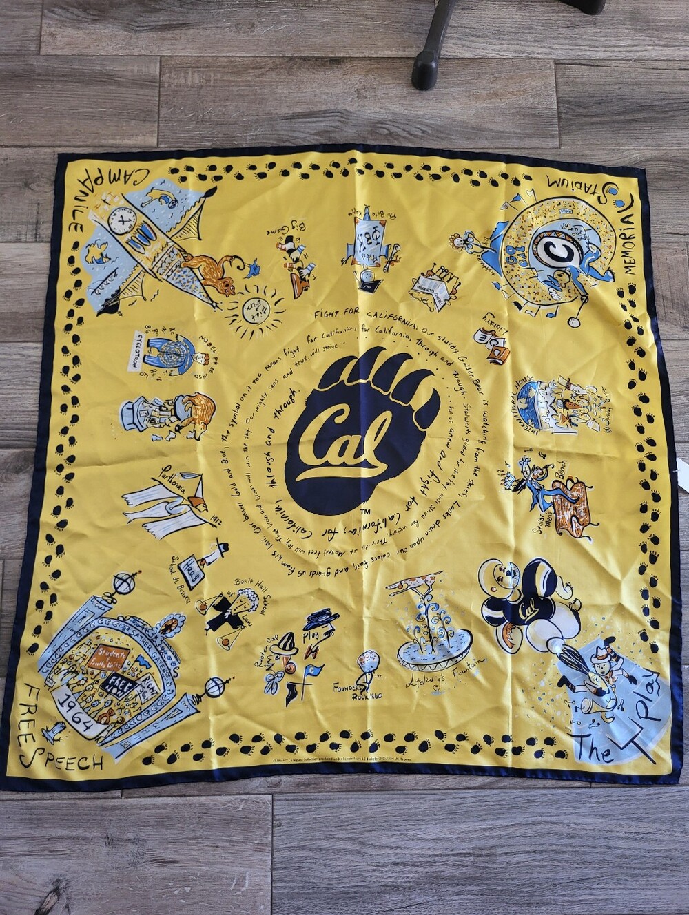 UC Berkley 100% Silk Aksesaré Scarf RARE 2004